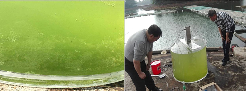 ´óɳºÓË®¿âÏÖ³¡ÊµÑé(¾¹ý³¬Éù´¦Öóͷ£ºóË®ÖÊÖð½¥Ç峺)