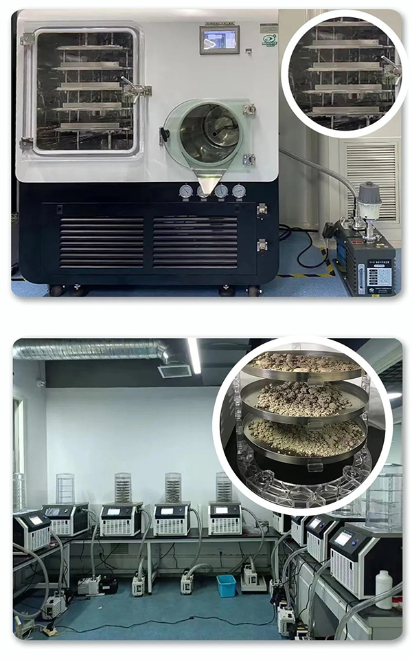 Àä¶³¸ÉÔï»ú