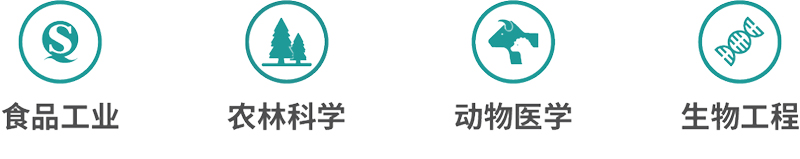 Ӧ������