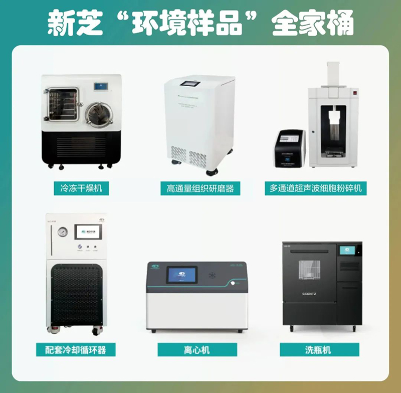 ���������Ƽ�����