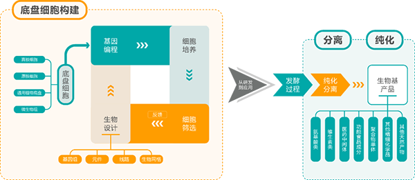 �ϳ�����ѧ��������