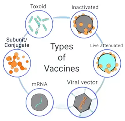 ΢��ͼƬ_20241125180200