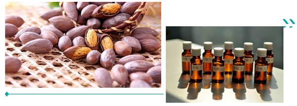 ΢�Ž�ͼ_20241125182258