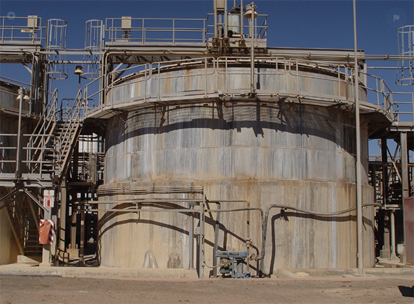 µÍμ״¼Ï´Ð¡¿ÆÆÕ