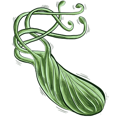 ΢��ͼƬ_20241126102150