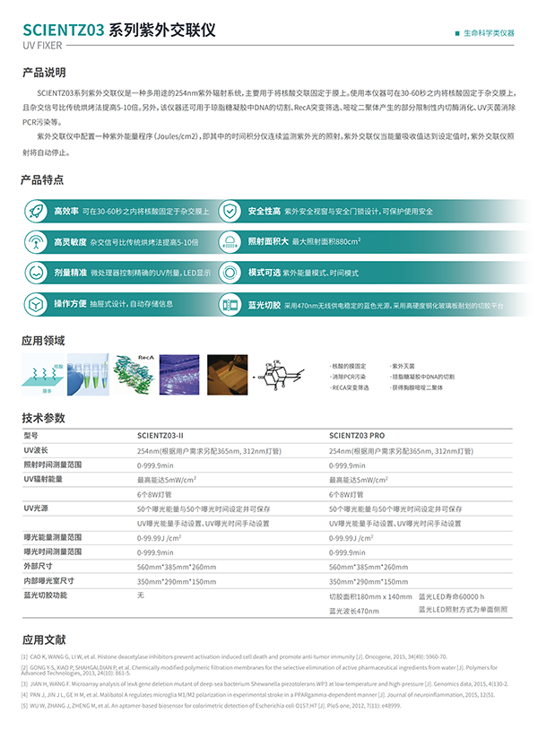 ���⽻����